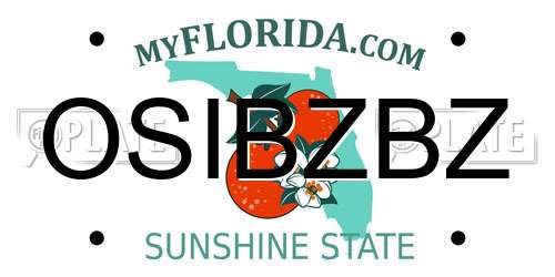 OSIBZBZ Florida License Plate