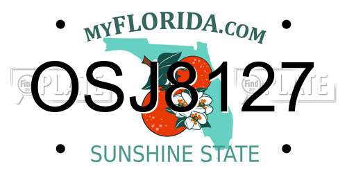OSJ8127 Florida License Plate