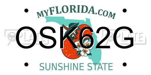 OSK62G Florida License Plate