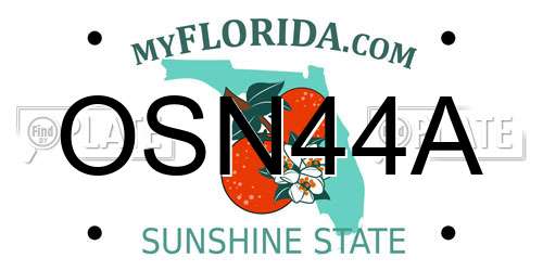 OSN44A Florida License Plate