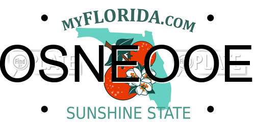 OSNEOOE Florida License Plate