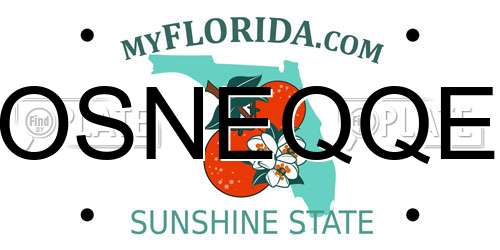 OSNEQQE Florida License Plate