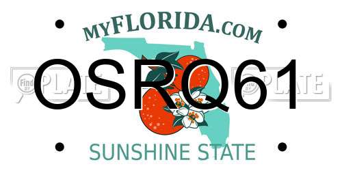 OSRQ61 Florida License Plate