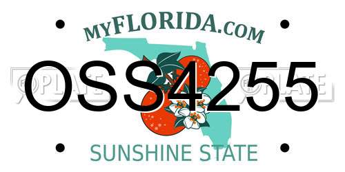 OSS4255 Florida License Plate