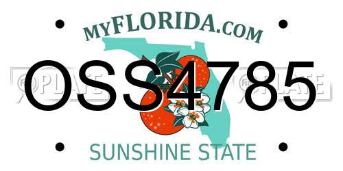 OSS4785 Florida License Plate