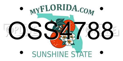 OSS4788 Florida License Plate
