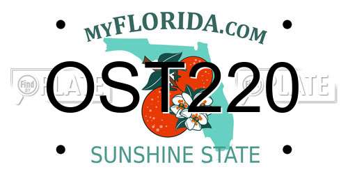OST220 Florida License Plate