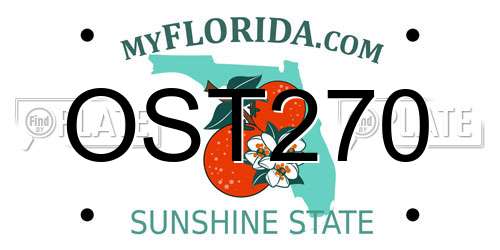OST270 Florida License Plate