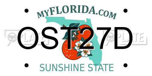OST27D Florida License Plate