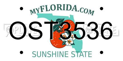 OST3536 Florida License Plate