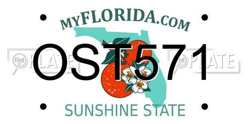OST571 Florida License Plate