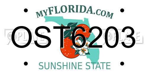 OST6203 Florida License Plate