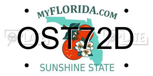 OST72D Florida License Plate