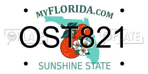 OST821 Florida License Plate