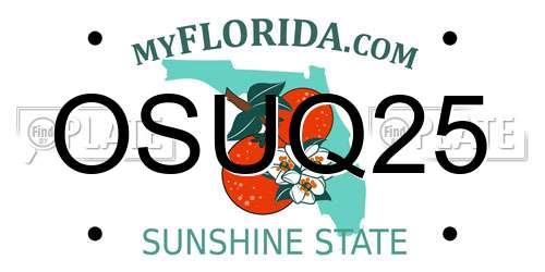 OSUQ25 Florida License Plate
