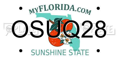 OSUQ28 Florida License Plate