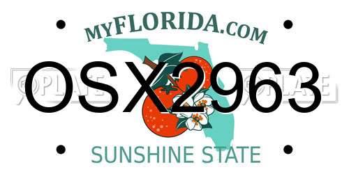 OSX2963 Florida License Plate