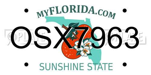 OSX7963 Florida License Plate