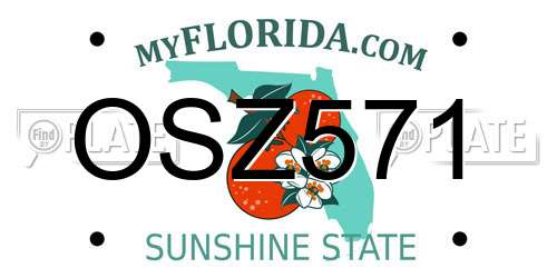 OSZ571 Florida License Plate