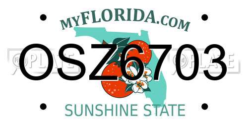 OSZ6703 Florida License Plate