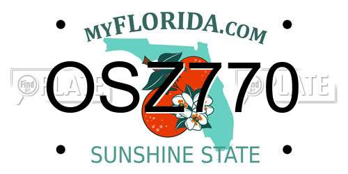 OSZ770 Florida License Plate