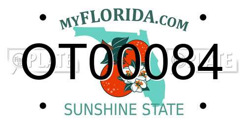 OT00084 Florida License Plate