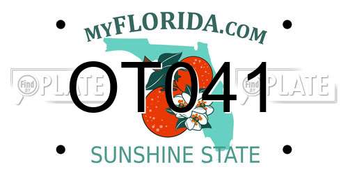 OT041 Florida License Plate