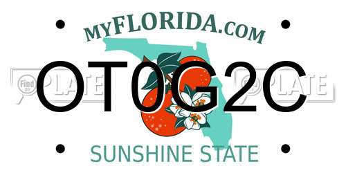 OT0G2C Florida License Plate