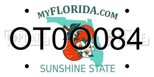 OT0O084 Florida License Plate
