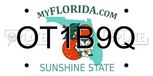 OT1B9Q Florida License Plate
