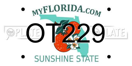 OT229 Florida License Plate