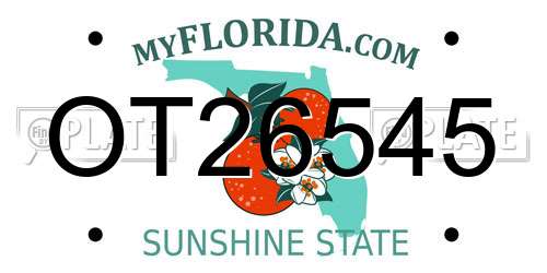 OT26545 Florida License Plate