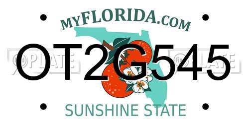 OT2G545 Florida License Plate