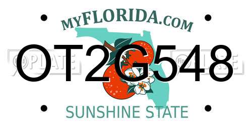 OT2G548 Florida License Plate