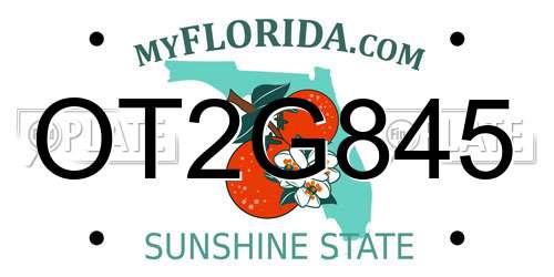 OT2G845 Florida License Plate