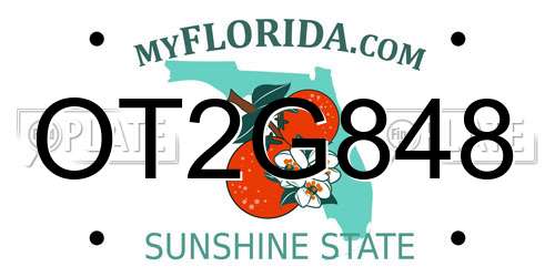 OT2G848 Florida License Plate