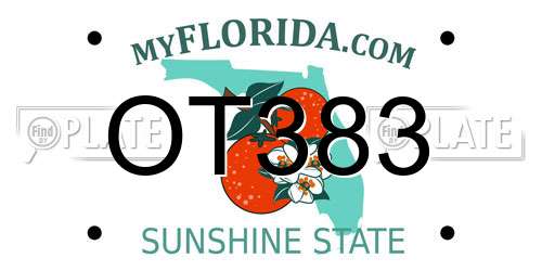 OT383 Florida License Plate