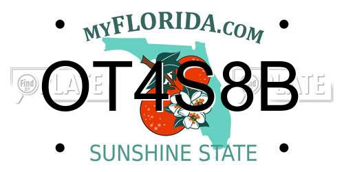 OT4S8B Florida License Plate