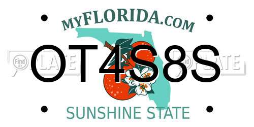 OT4S8S Florida License Plate