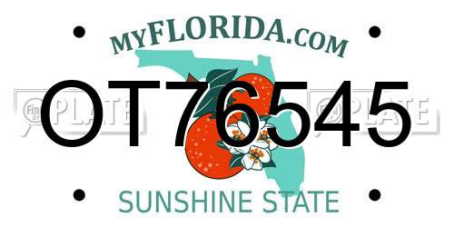 OT76545 Florida License Plate