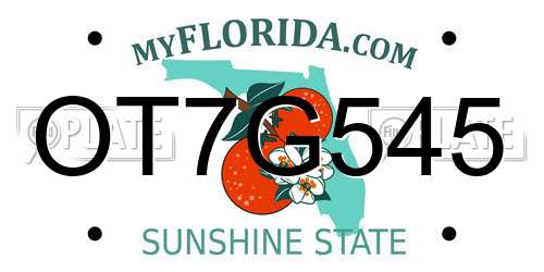 OT7G545 Florida License Plate