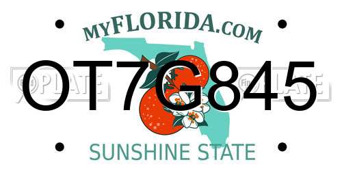 OT7G845 Florida License Plate