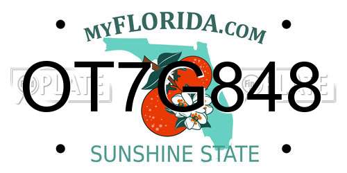 OT7G848 Florida License Plate