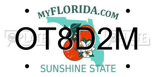 OT8D2M Florida License Plate
