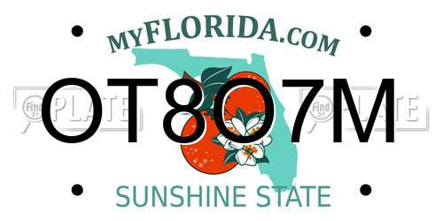 OT8O7M Florida License Plate