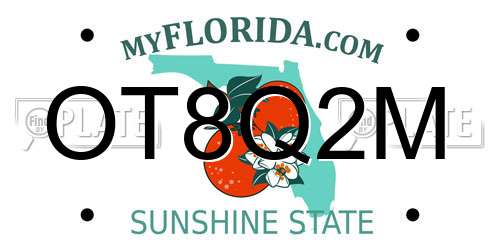 OT8Q2M Florida License Plate
