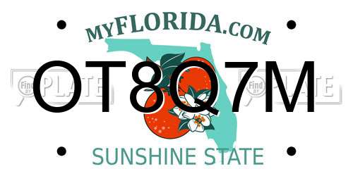 OT8Q7M Florida License Plate