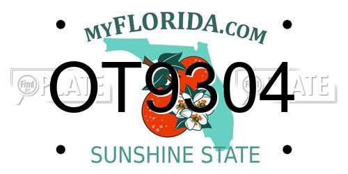 OT9304 Florida License Plate