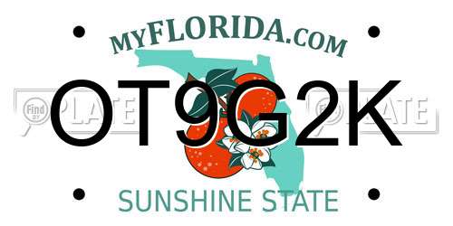 OT9G2K Florida License Plate