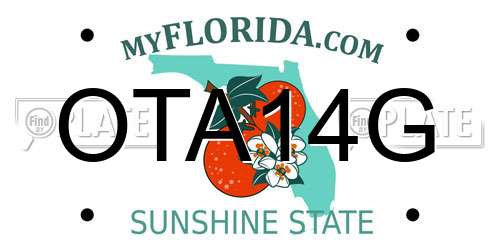 OTA14G Florida License Plate